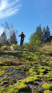 Steep side lines beside Bond Creek Trail