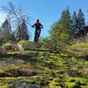 Steep side lines beside Bond Creek Trail