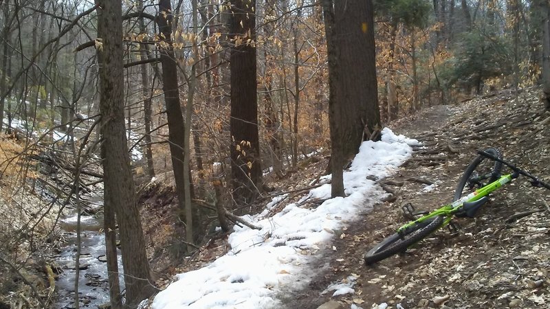 Laurel Brook flowing into the distance.