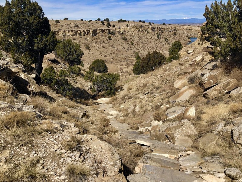 Dropping into The Buttes with a nice rock bridge. It’s steep but as long as it is dry, you have plenty of grip. This takes you down my the waters edge where you have narrow singletrack and have to mind the cactus on the ed