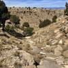 Dropping into The Buttes with a nice rock bridge. It’s steep but as long as it is dry, you have plenty of grip. This takes you down my the waters edge where you have narrow singletrack and have to mind the cactus on the ed