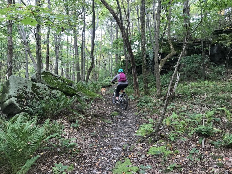 Riding amongst the rocks