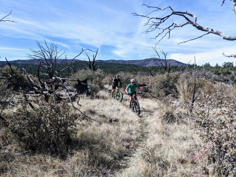 Up on the mesa preparing for a sweet Sapillo descent!