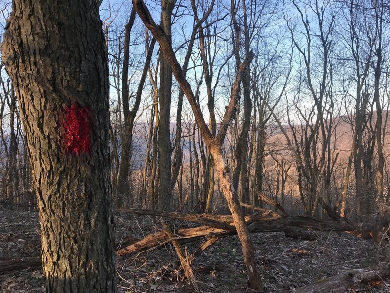 The view from Kim Trail a top Sugarloaf Knob!