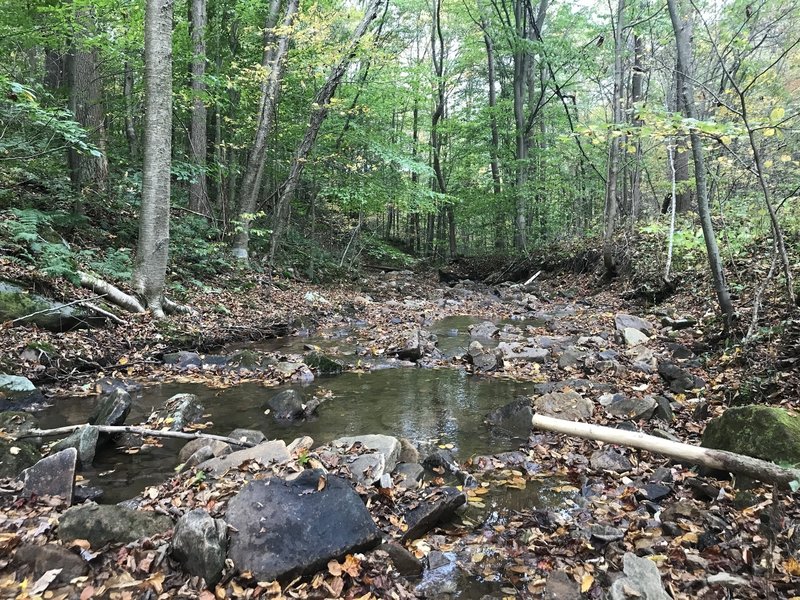 Laurel Run lunch stop