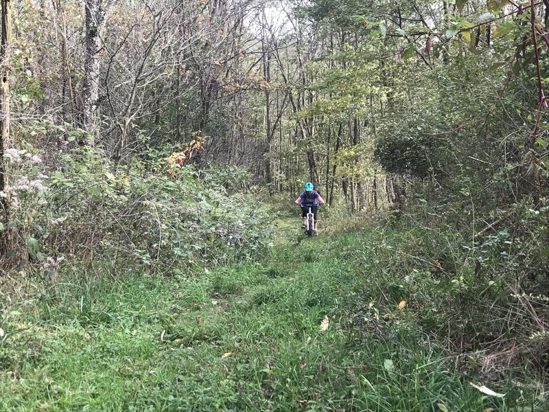 Climbing up Sugarloaf XC Ski Trail