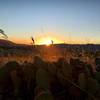 Sunsets are epic in this area. Cacti live amongst the granite on the NICA loop. TMTA/Lehigh Trails, Tehachapi, California.