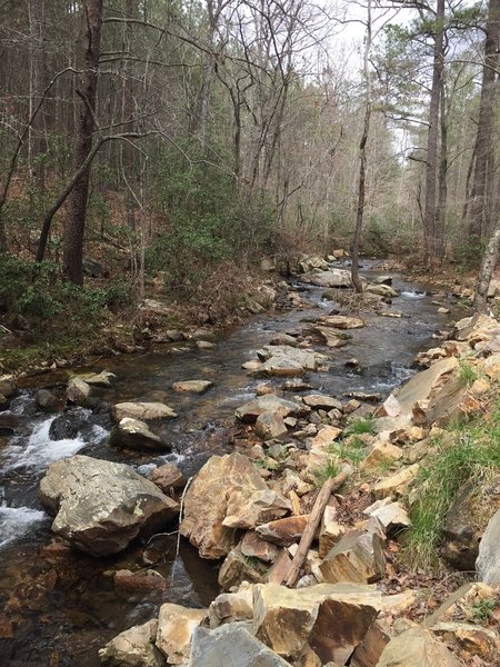 Stamp Creek is a stocked trout stream.