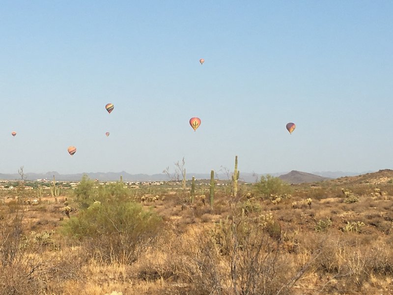 Balloons on a September morning at Ocotillo Trail