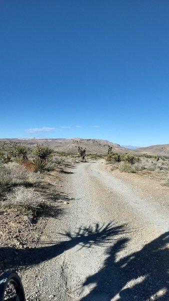 The trail is unmarked and very rocky, with a lot of joshua trees and mojave yuccas with their pointy leaves as an extra caution.