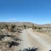 The trail is unmarked and very rocky, with a lot of joshua trees and mojave yuccas with their pointy leaves as an extra caution.