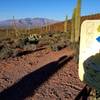 View from the junction of Lost Arrow/The Spine looking towards the Catalinas.