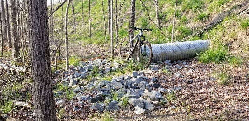 One of the many rock gardens at Harrisburg Municipal Park