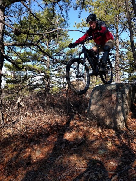 Drop to flat - Lynn's signature move. Joe riding Bow Ridge Trail