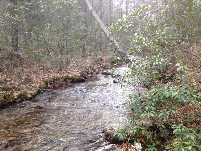 Creek Crossing