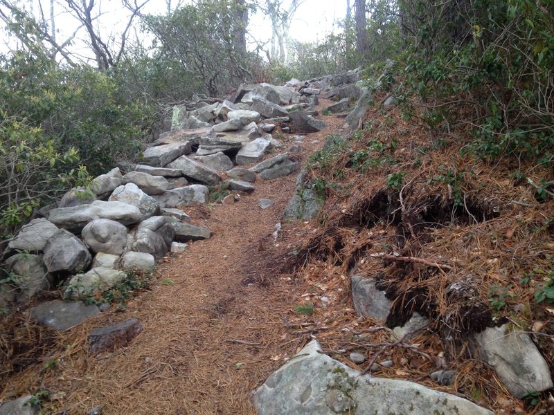Rocks and Loam on Timber Ridge