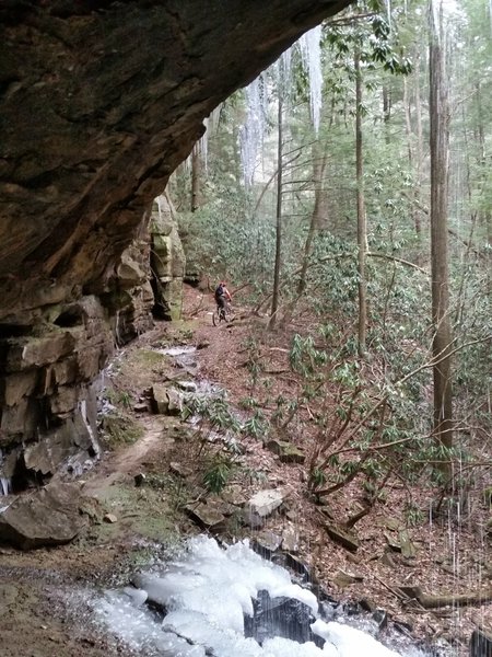 The rock houses on Bark Camp are huge.