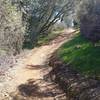 Buck Brush Loop at New Melones Lake