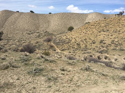 Time to Rock'n'Roll!