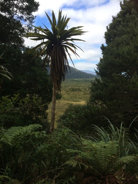 Some great scenic views towards end of trail.