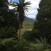 Some great scenic views towards end of trail.
