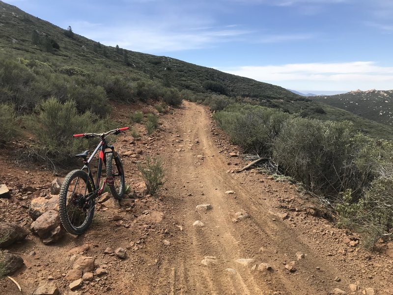 At the top of Spur Meadow.