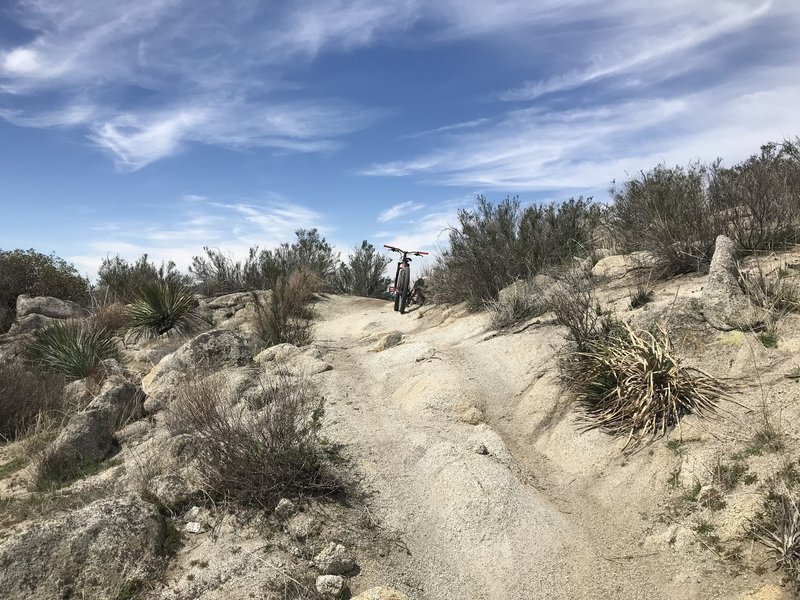 Dirt, granite, vegetation. Wrangler has it all.