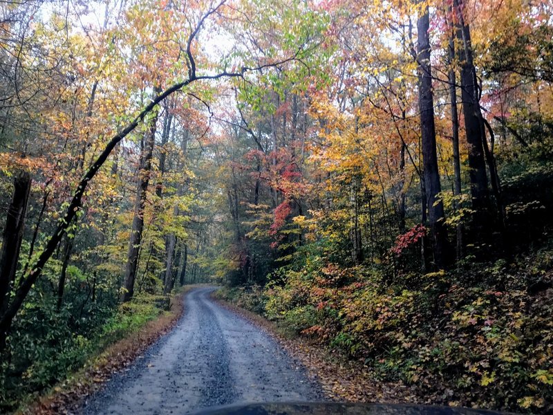 Holley Creek Gap Road.