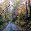 Holley Creek Gap Road.