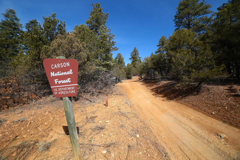 Entrance to the Carson National Forest on Turkey Springs Road.