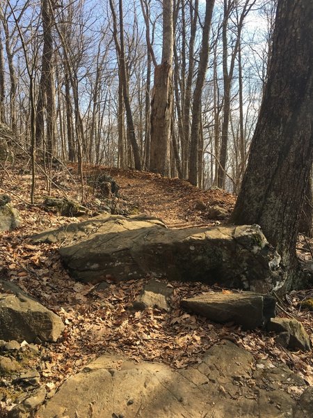 One of the few small drops along the trail.