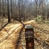 Trail marker for Valentine Edward Loop.