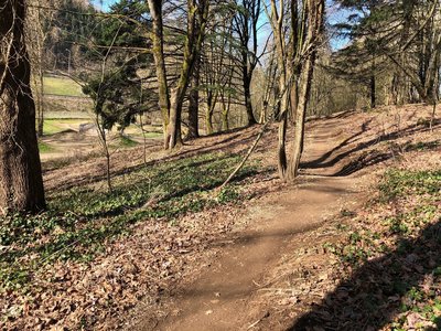 Gateway Green Fence Line Trail - singletrack