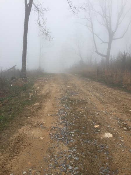 Foggy morning on Grassy Hollow Road