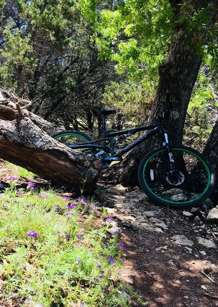 Beautiful overlooks and singletrack ride.