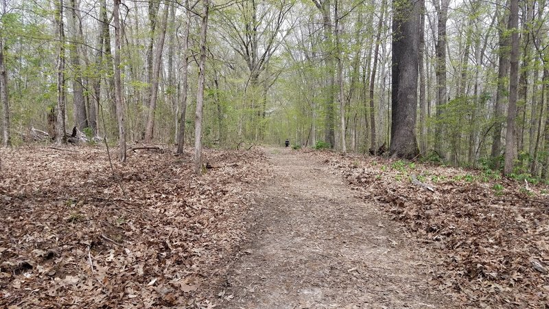 Smooth flowing doubletrack