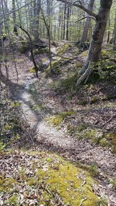 Fflowy singletrack.