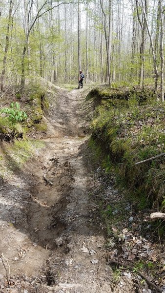 Creek crossing