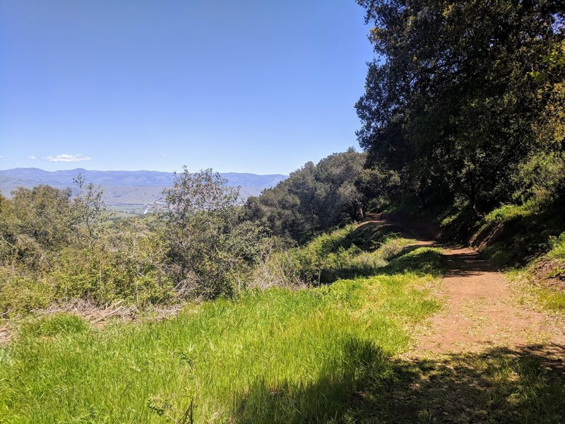 Junction of Chisnantuk and Bald Peak trails.