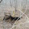 The trail snakes around land features such as this small rock house.