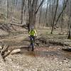 Many water crossings on Jackson Run