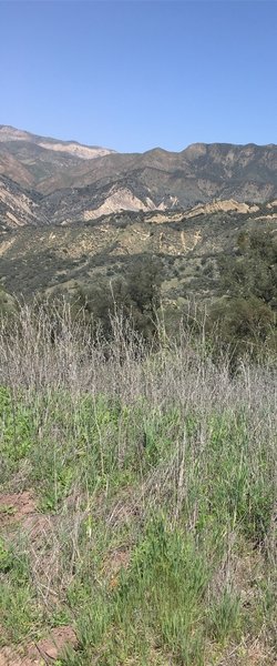 Nice views to compliment the gnats, black flies, poison oak, and ticks.