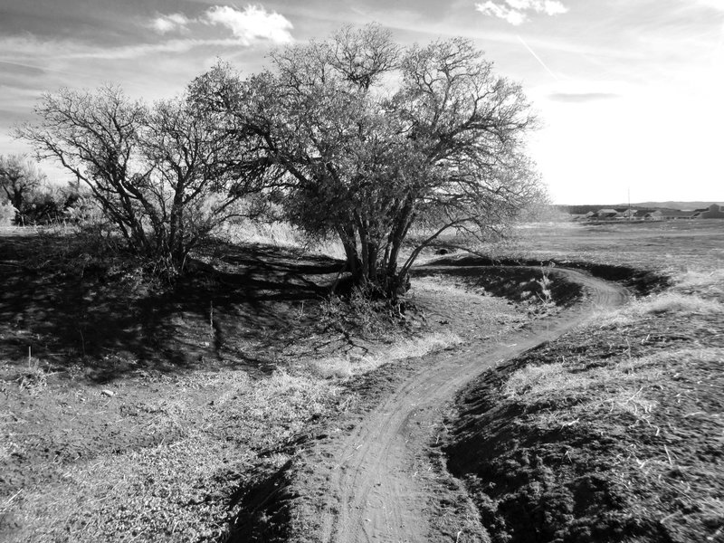 Check out the new Spur Line trails at Three Springs!