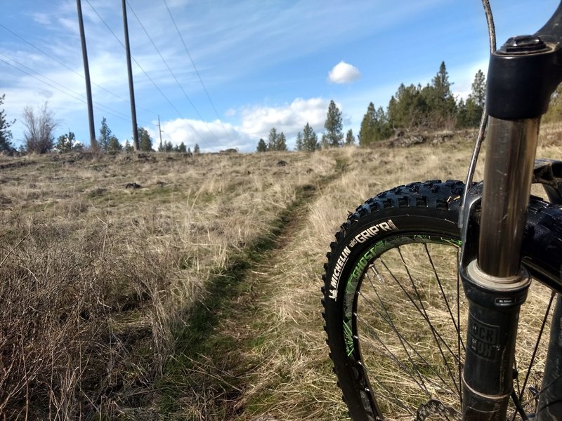 Spring skies in Spokane