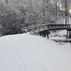 The Elkin Trail, MST Segment 6, in the snow. Photo by Joe Mickey.