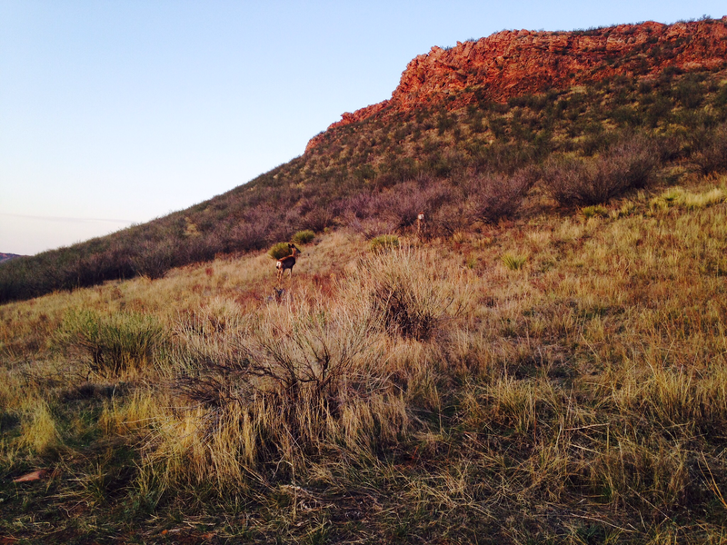 Nice view right before sundown