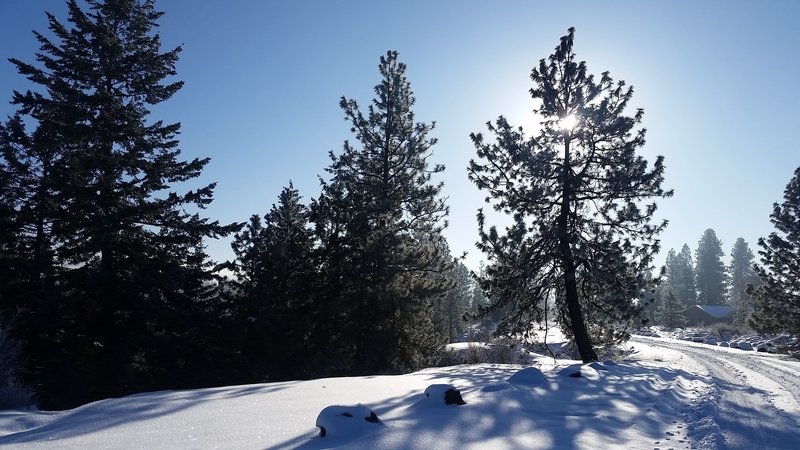 Rimrock Drive/Trail in Palisades Park becomes a snowy wonderland come winter.