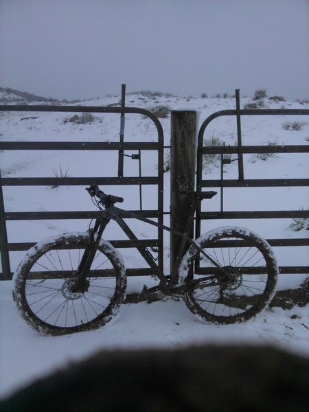 This horse gate is one of many, you should be standing on a dirt road staring at this gate, with a resevior far to left below you.  Open this gate (please leave it how you found it, closed), and then follow the singletrack