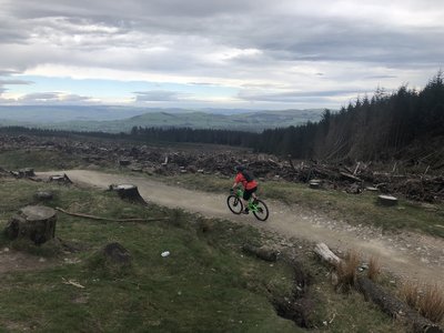 Llandegla mtb blue online trail