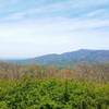 View from Cohutta Overlook along 52